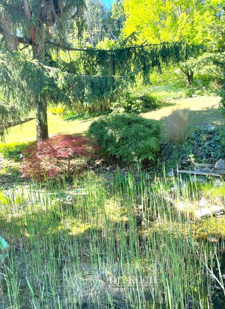 Idyllischer Gartenbereich mit einem natürlichen Teich und vielfältiger Bepflanzung unter Bäumen.