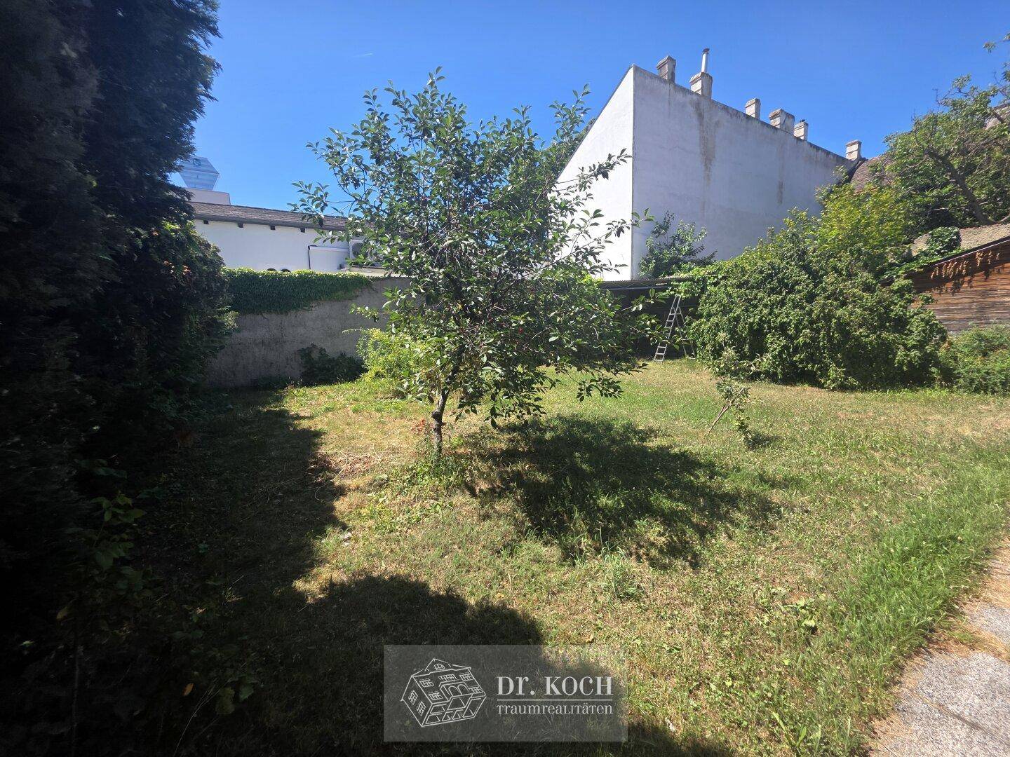 Garten mit Rasenfläche, Bäumen und einer Mauer im Hintergrund, bietet Privatsphäre.
