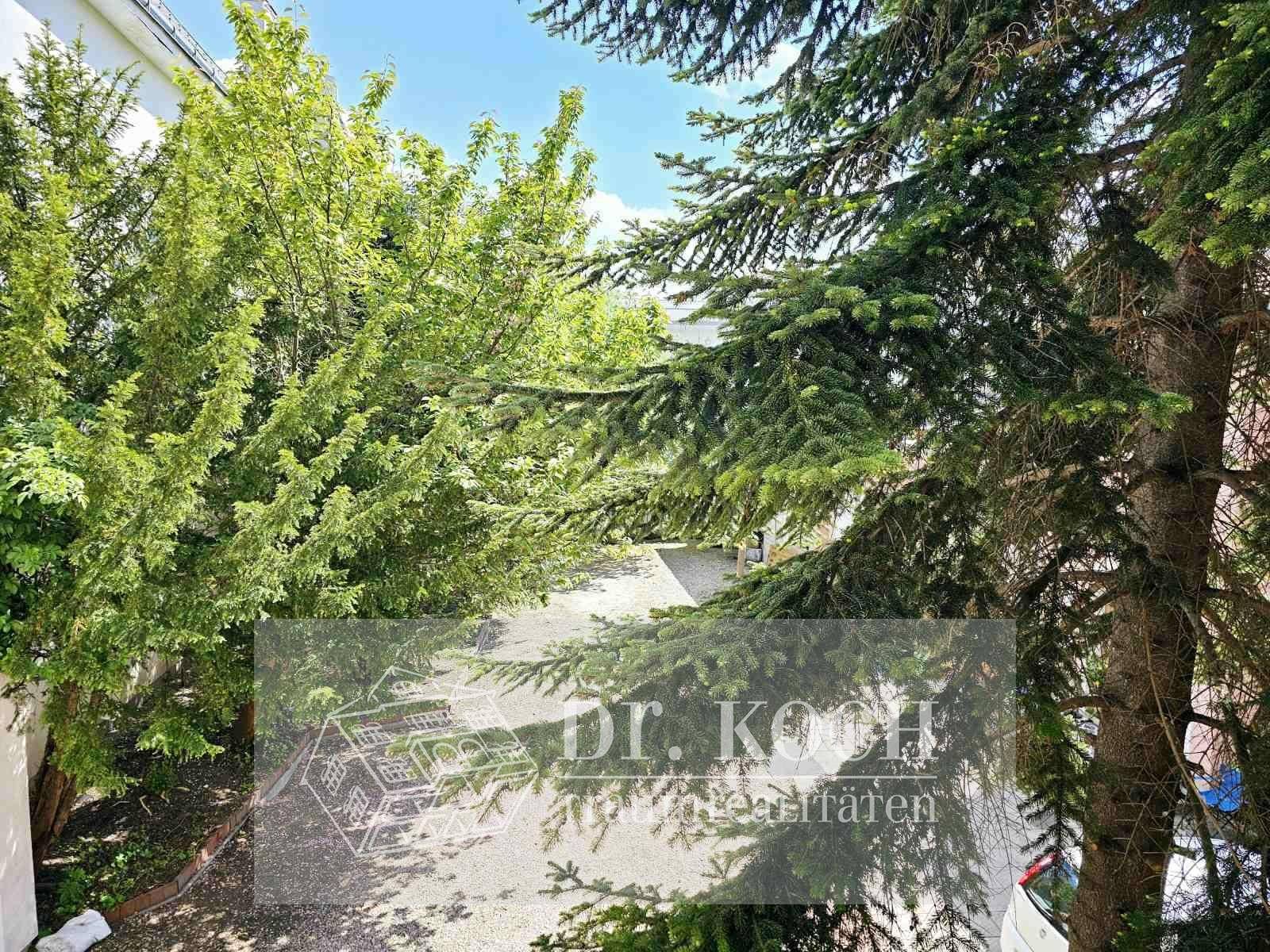 20250429_143959