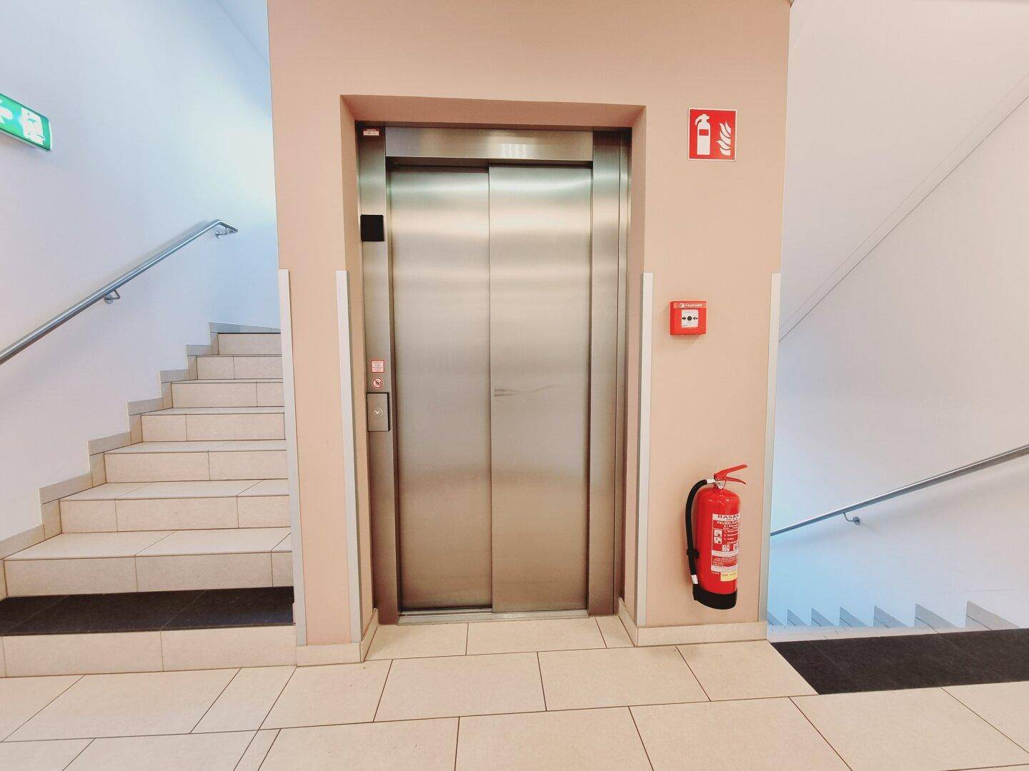 Allgemeinfläche