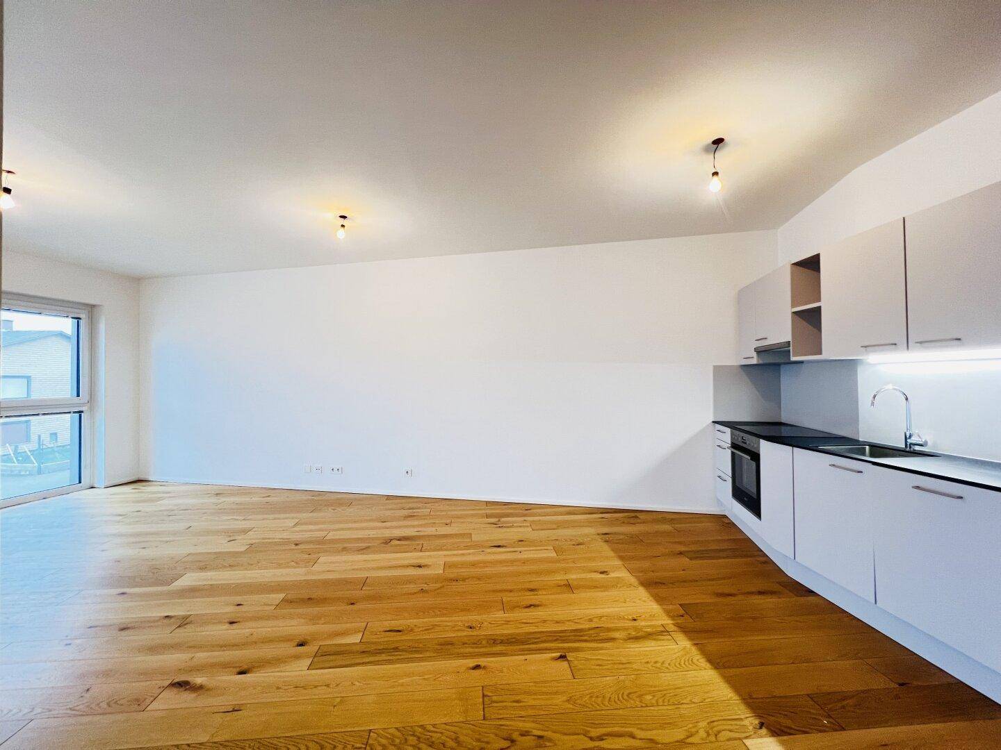 Offener Wohnbereich mit integrierter Küchenzeile, Holzboden und viel Tageslicht.