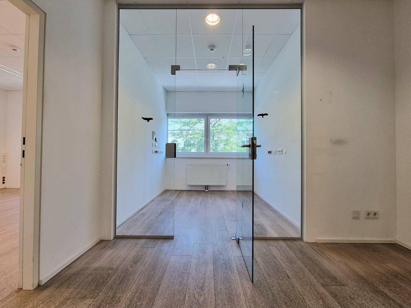 Blick in ein helles Büro durch eine rahmenlose Glastür, mit Laminatboden und Fenster mit Grünblick.
