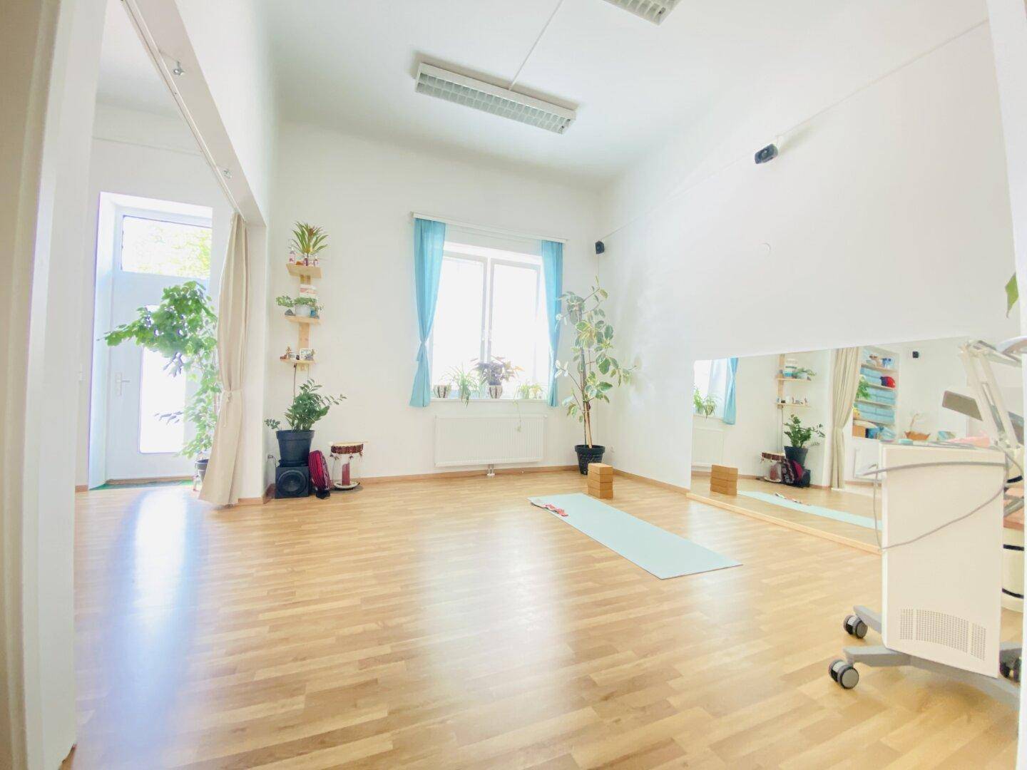 Geräumiger Studiobereich mit Holzboden, großen Fenstern, Pflanzen und einem Wandspiegel, ideal für Bewegung.
