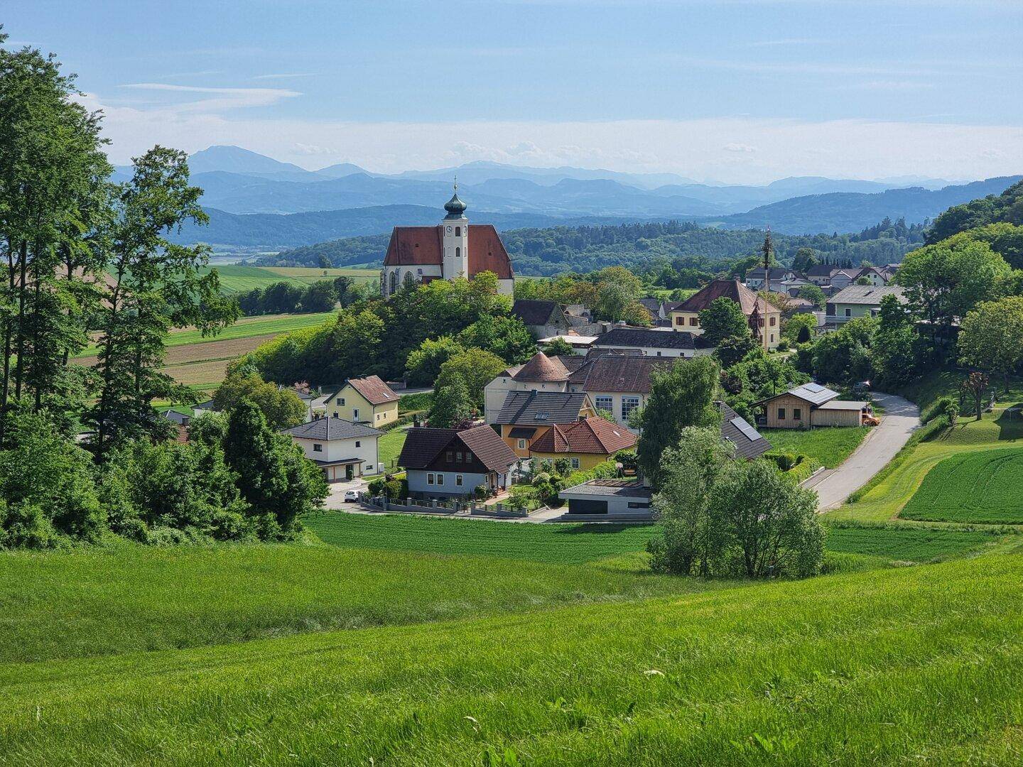Geroldinger Panoramafeld