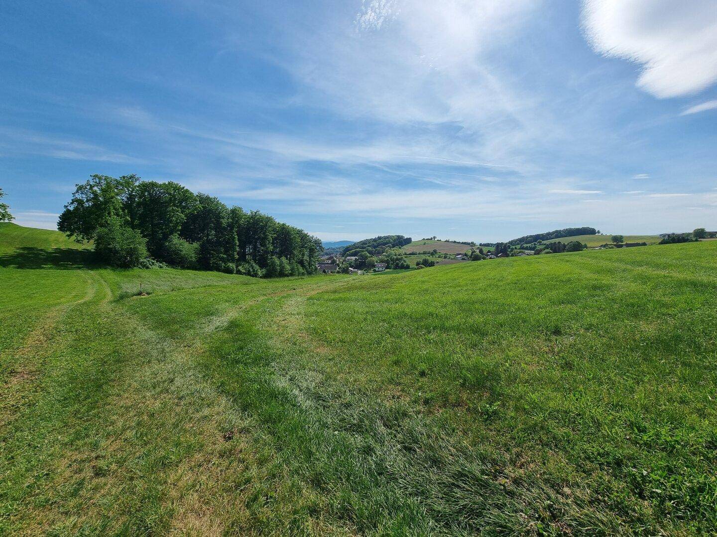 Geroldinger Panoramafeld