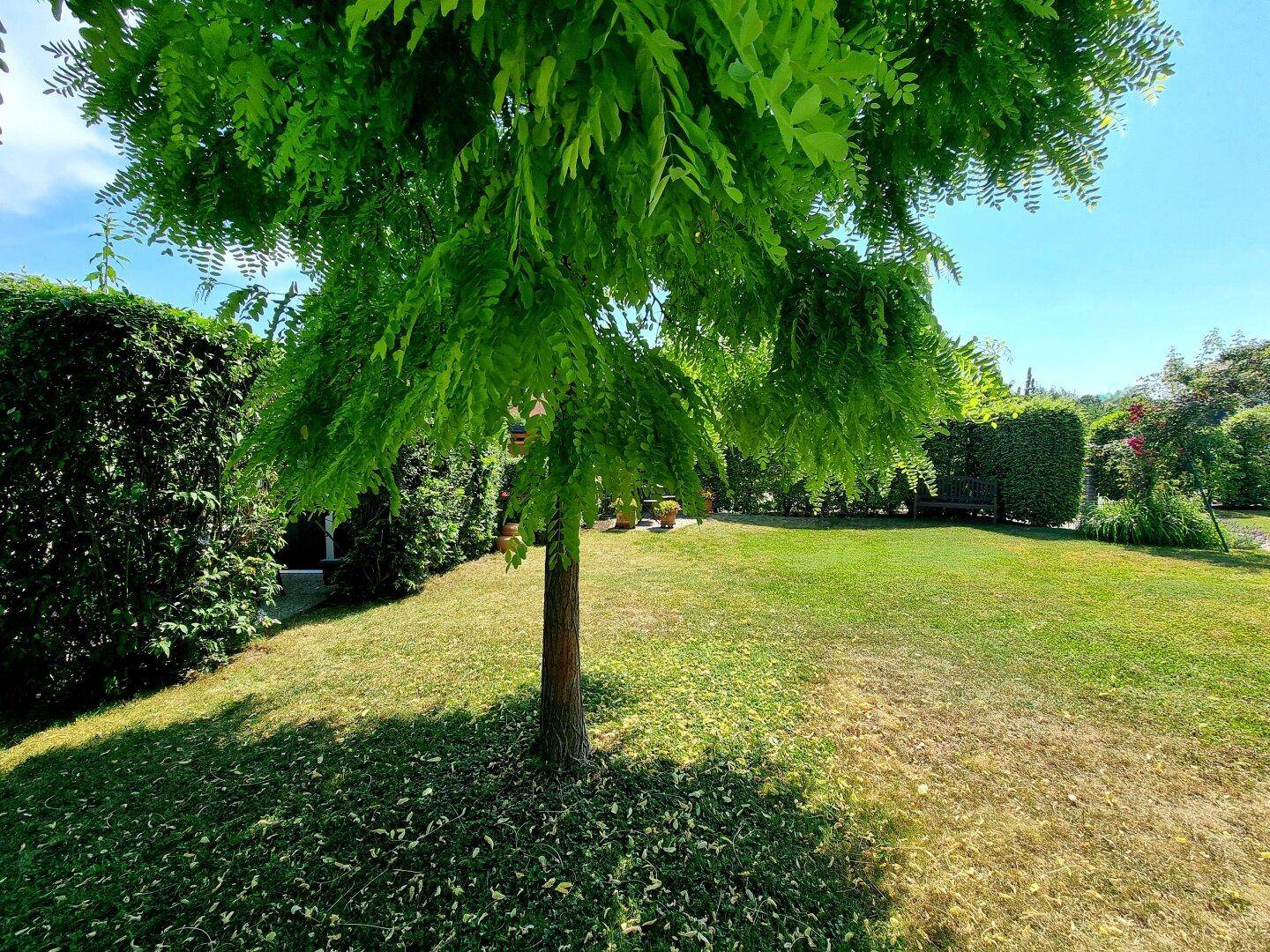 Gartenansicht