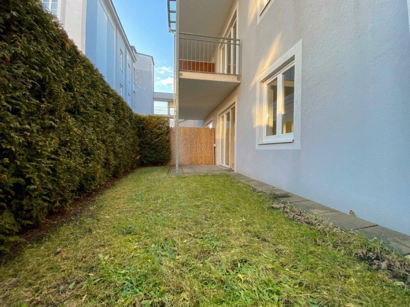 Kleiner privater Gartenbereich mit Rasenfläche und einer hohen Hecke für mehr Privatsphäre.
