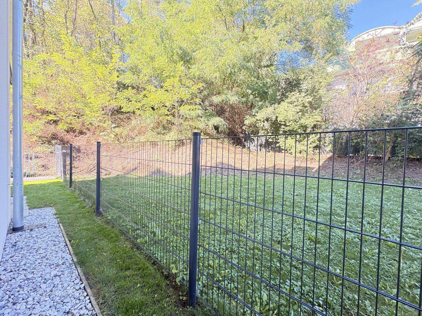 Gepflegte Rasenfläche im Gemeinschaftsgarten, umgeben von Bäumen und einem Zaun.