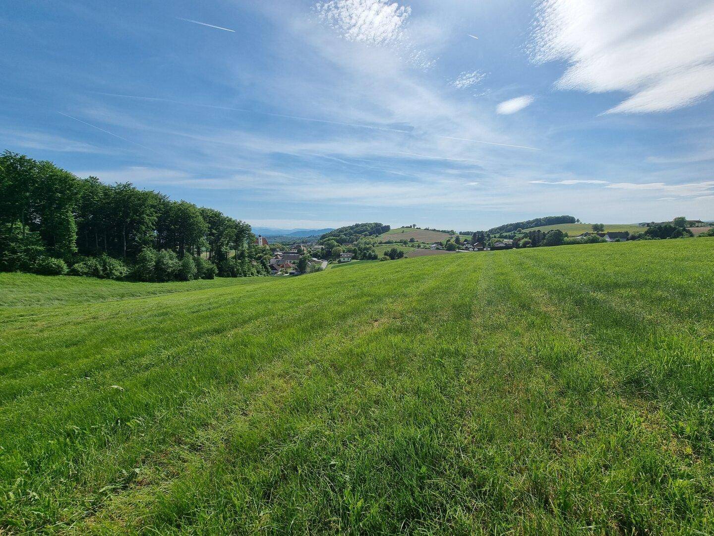 Geroldinger Panoramafeld