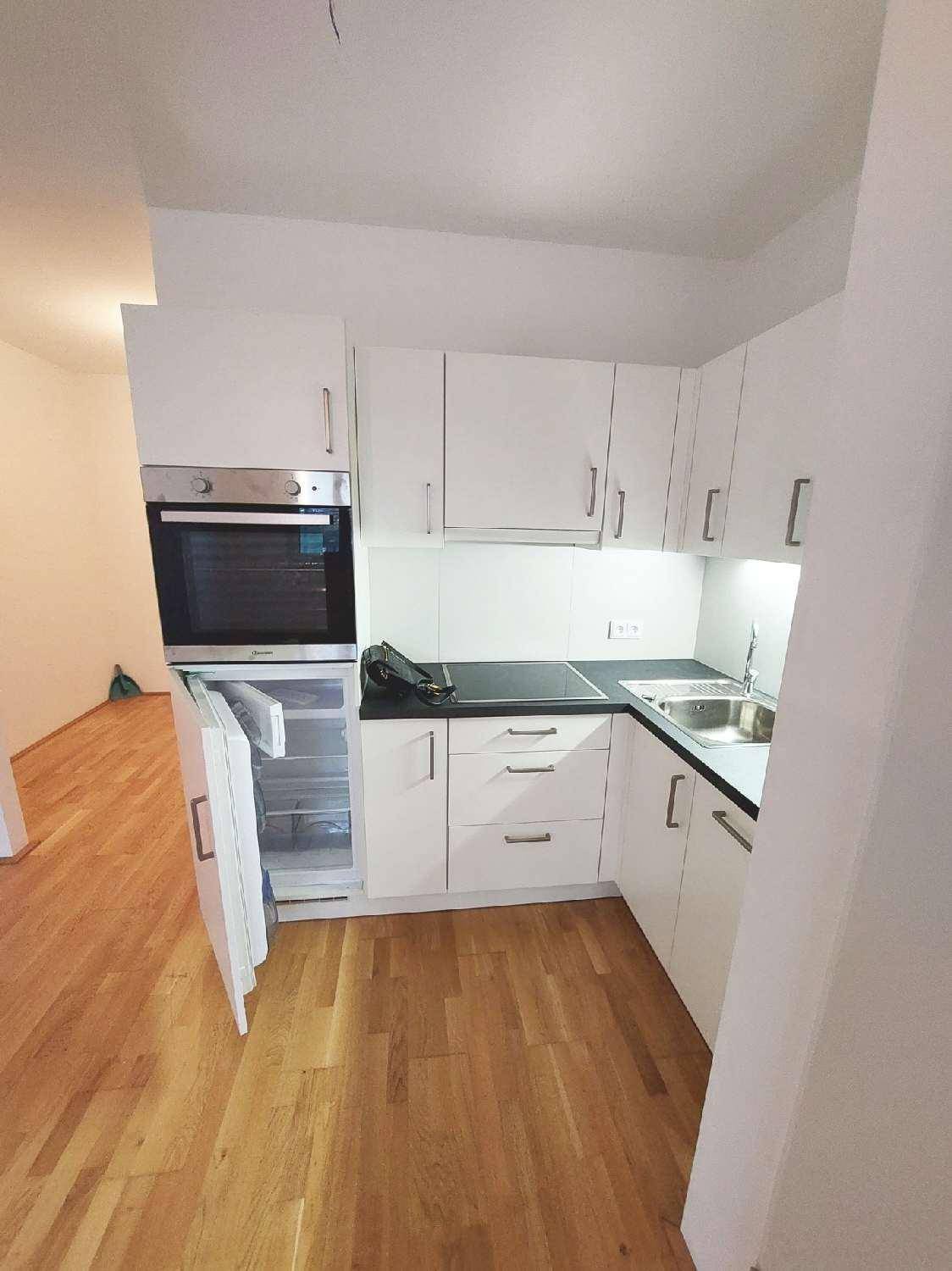 Moderne Küchenzeile mit weißen Schränken, integriertem Backofen und Kühlschrank.
