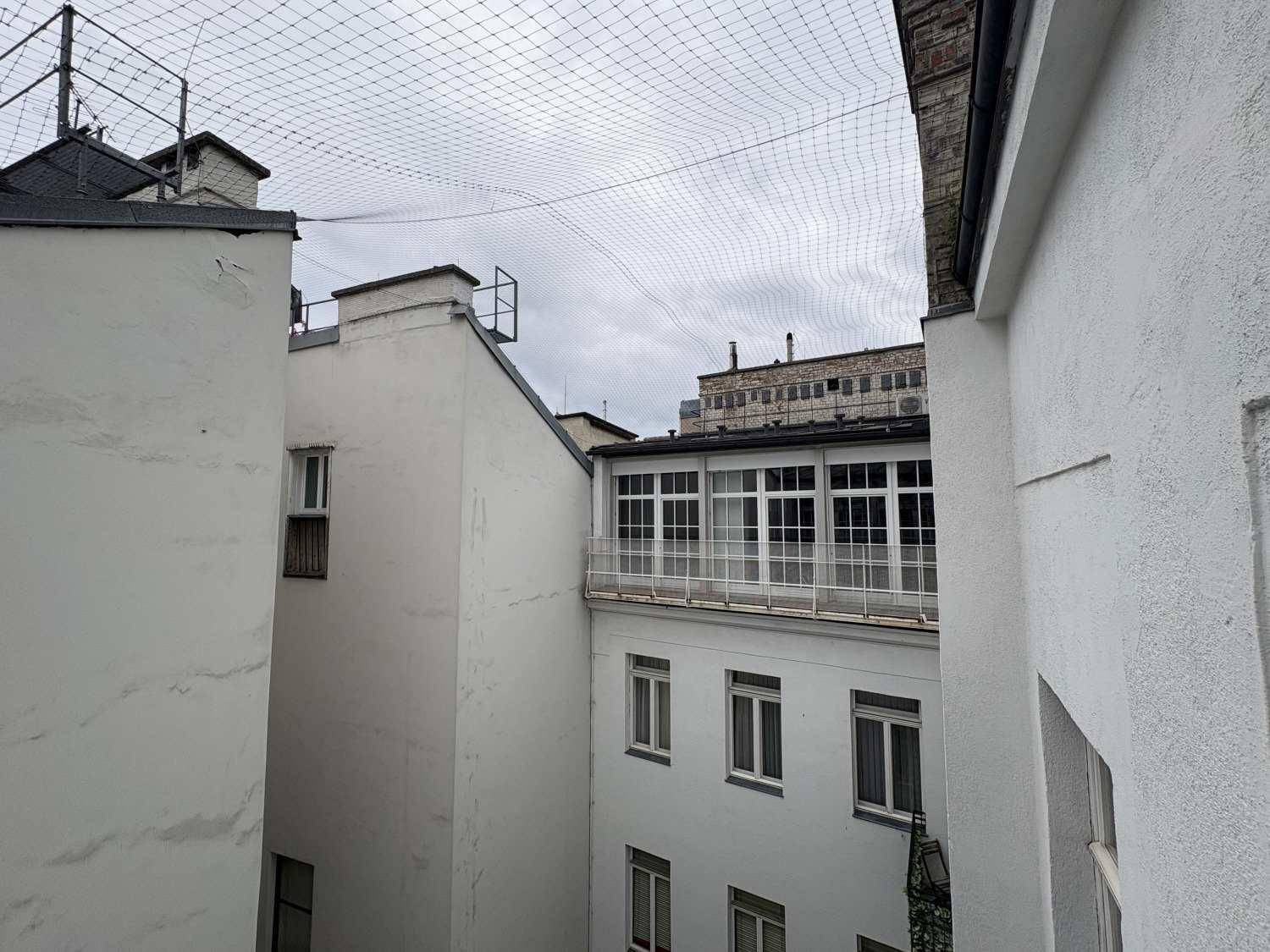 Ausblick