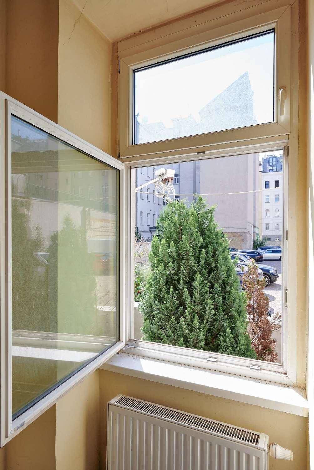 Geöffnetes Fenster mit Blick auf die Straße, einen Baum und geparkte Autos.