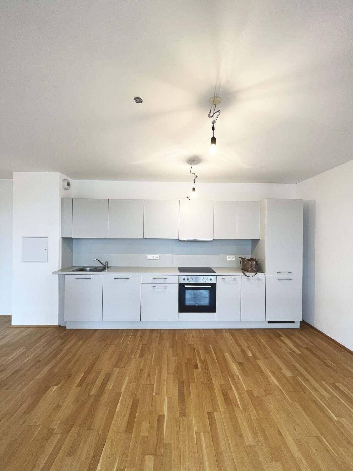 Moderne Küchenzeile mit hellgrauen Fronten, integriertem Backofen und Induktionskochfeld in neuwertigem Zustand.