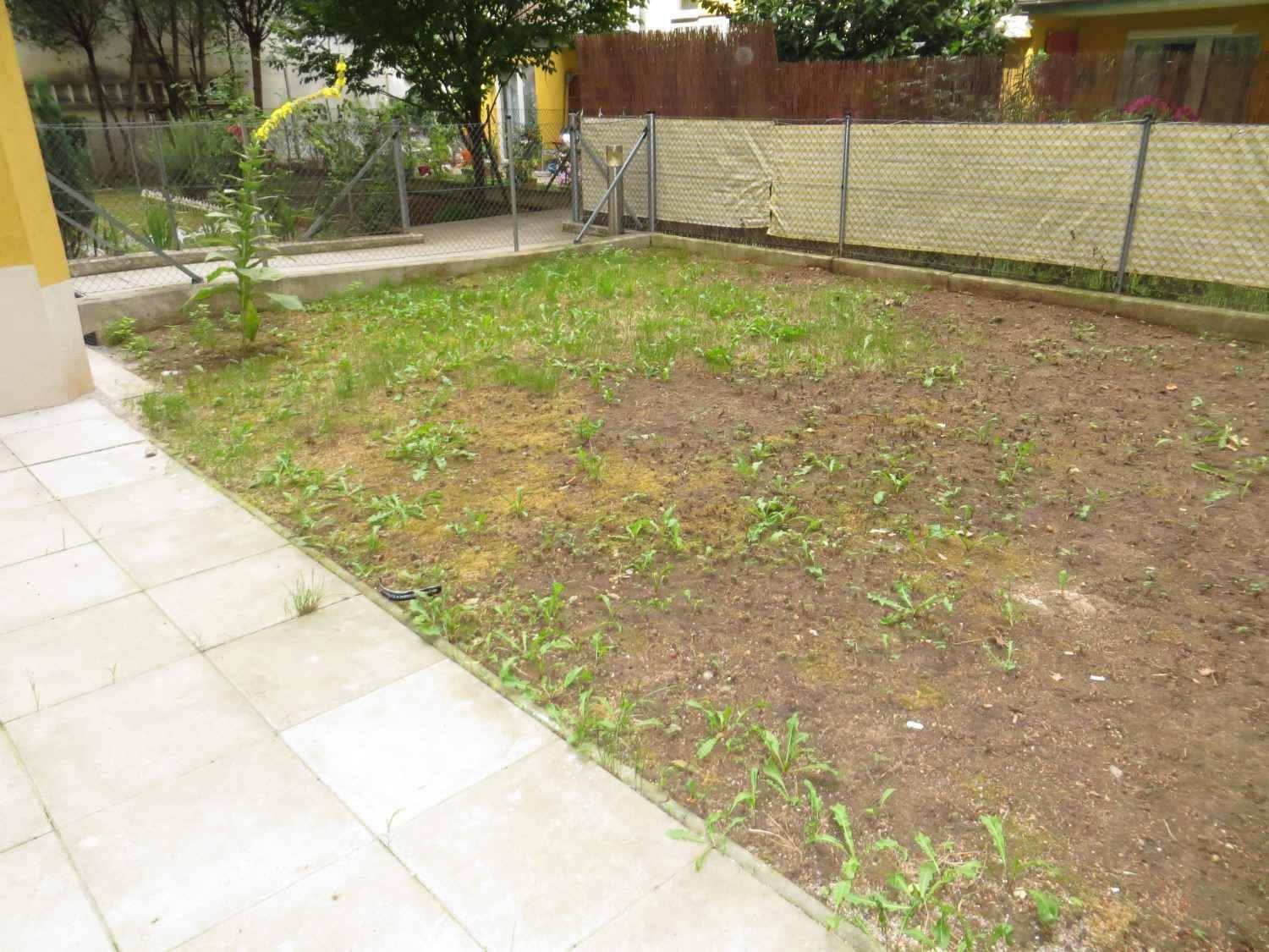 Garten 1_1