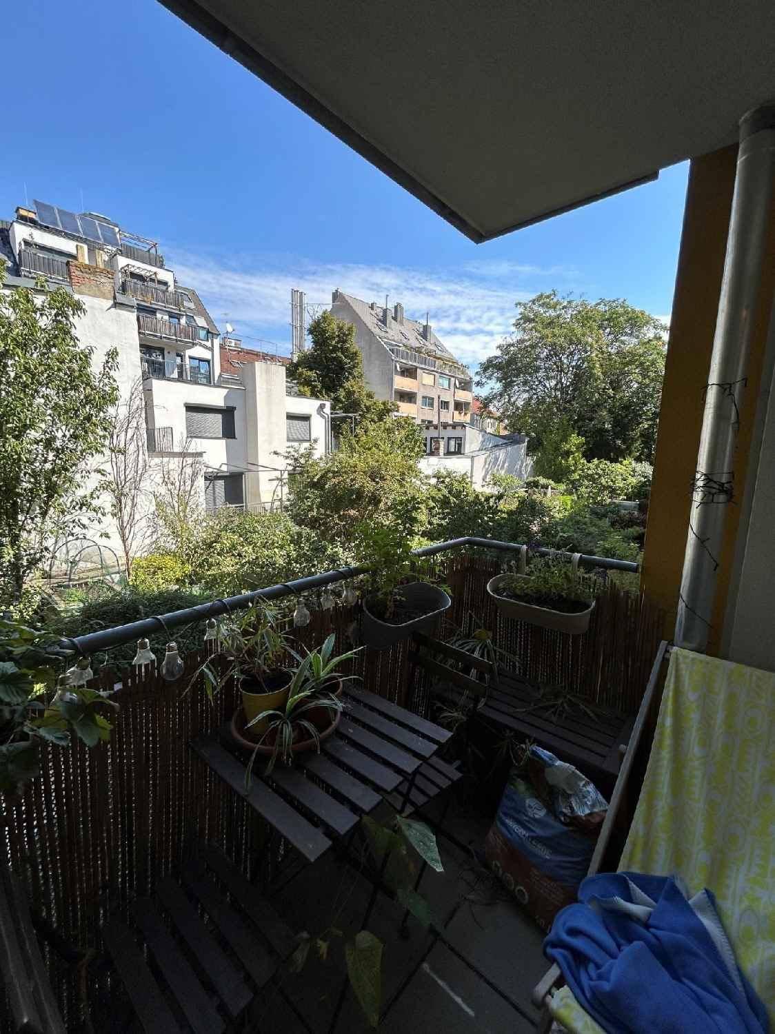 Balkon mit Blick auf die umliegenden Gebäude und viel Grün in der Nachbarschaft.