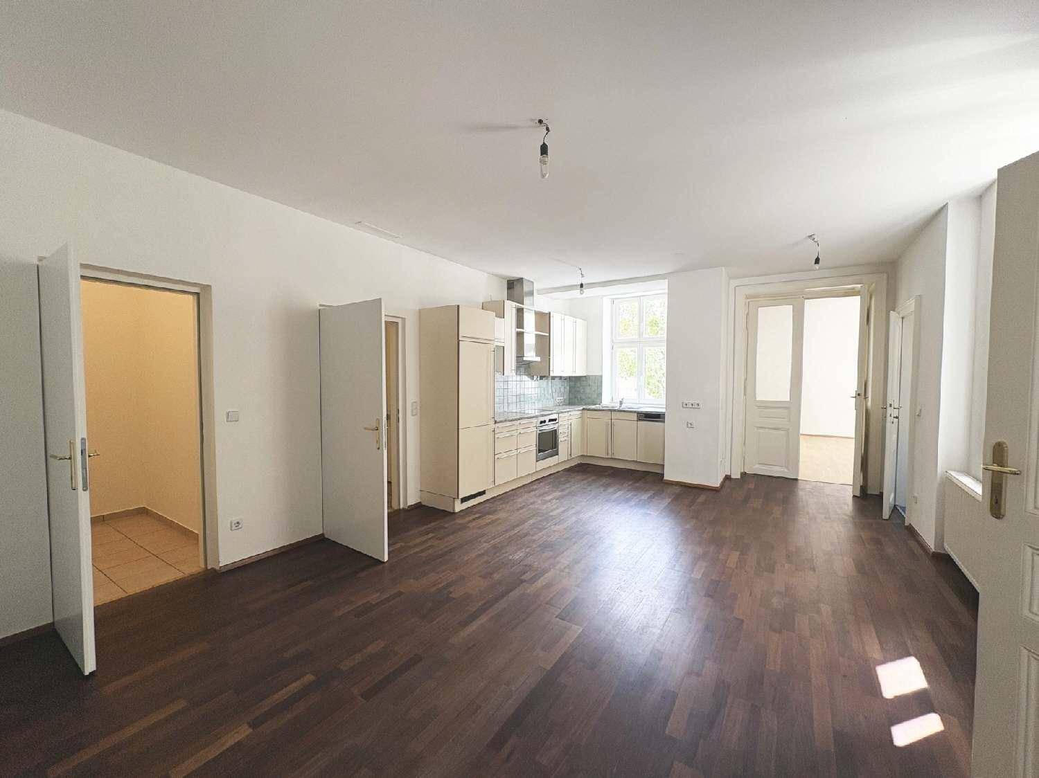 Geräumiger Wohnbereich mit offener Küche und viel Tageslicht durch die Fenster.