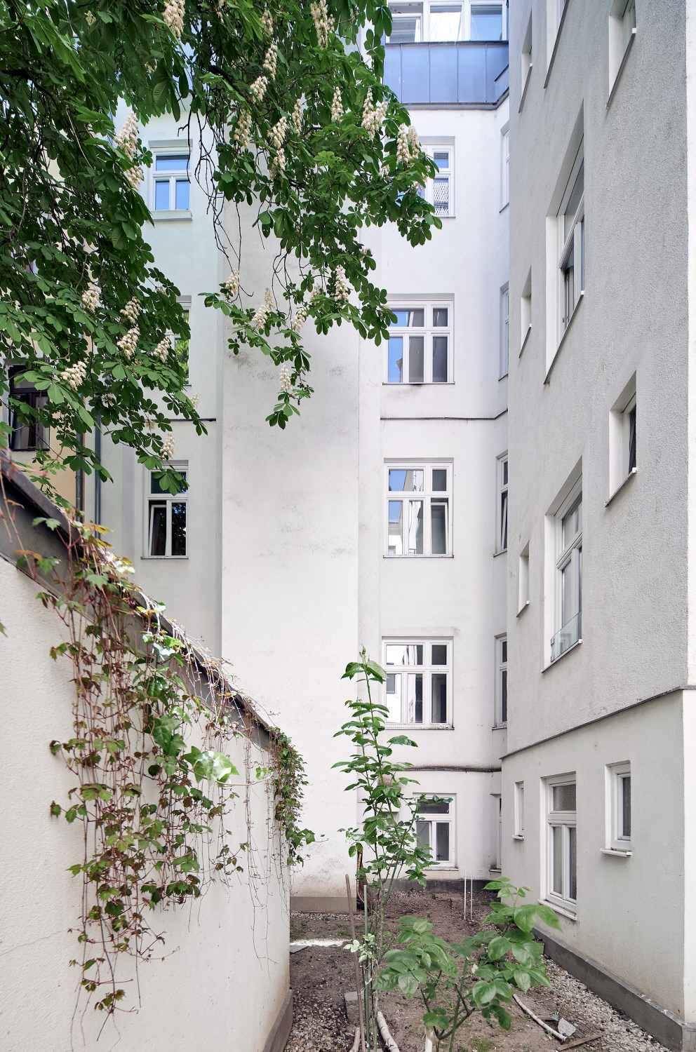 Grüner Innenhof eines Wohnhauses mit Kletterpflanzen und Bäumen, bietet Ruhe.