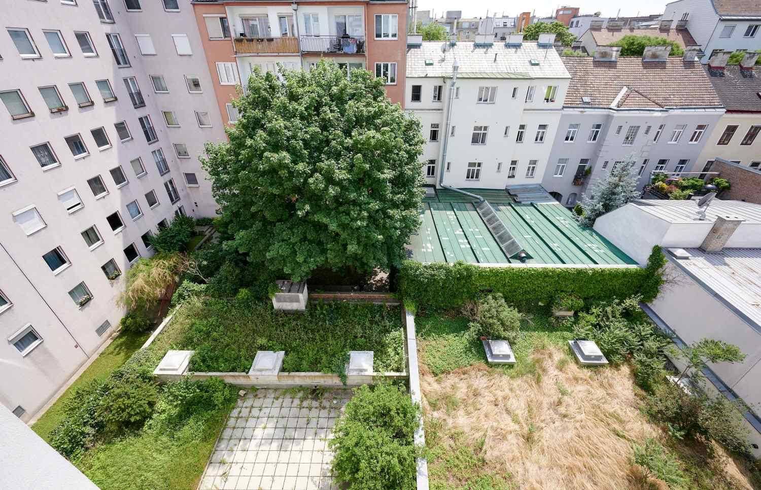 Blick von oben auf einen begrünten Innenhof mit Bäumen und verschiedenen Pflanzen, umgeben von Gebäuden.
