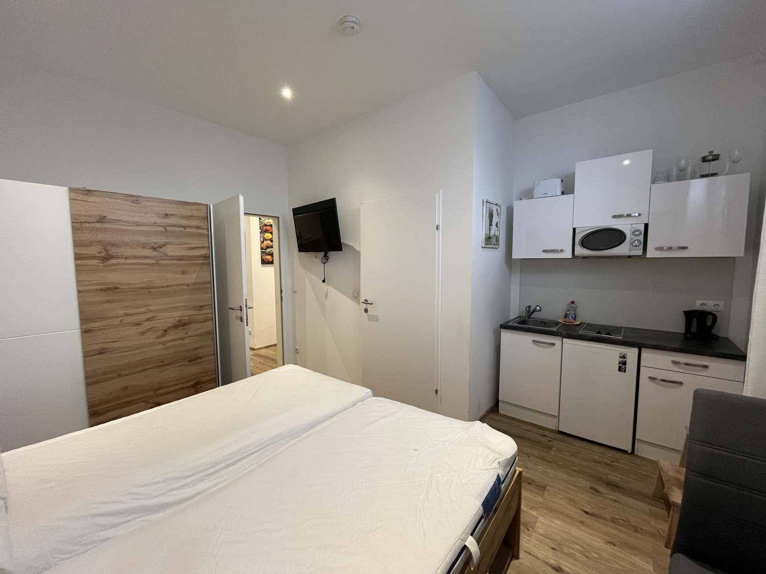 Schlafzimmer mit integrierter Küchenzeile, Doppelbett, Holzboden und Wandfernseher.