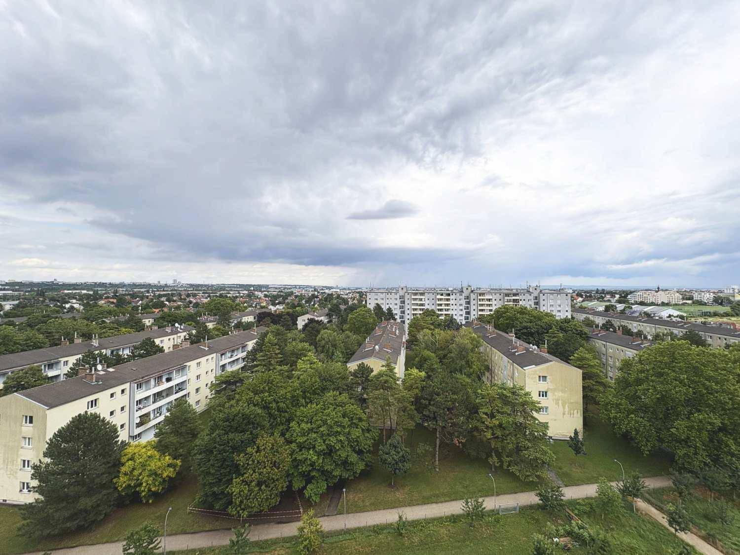 Weitläufige Ansicht einer Wohngegend mit vielen Bäumen unter bewölktem Himmel.