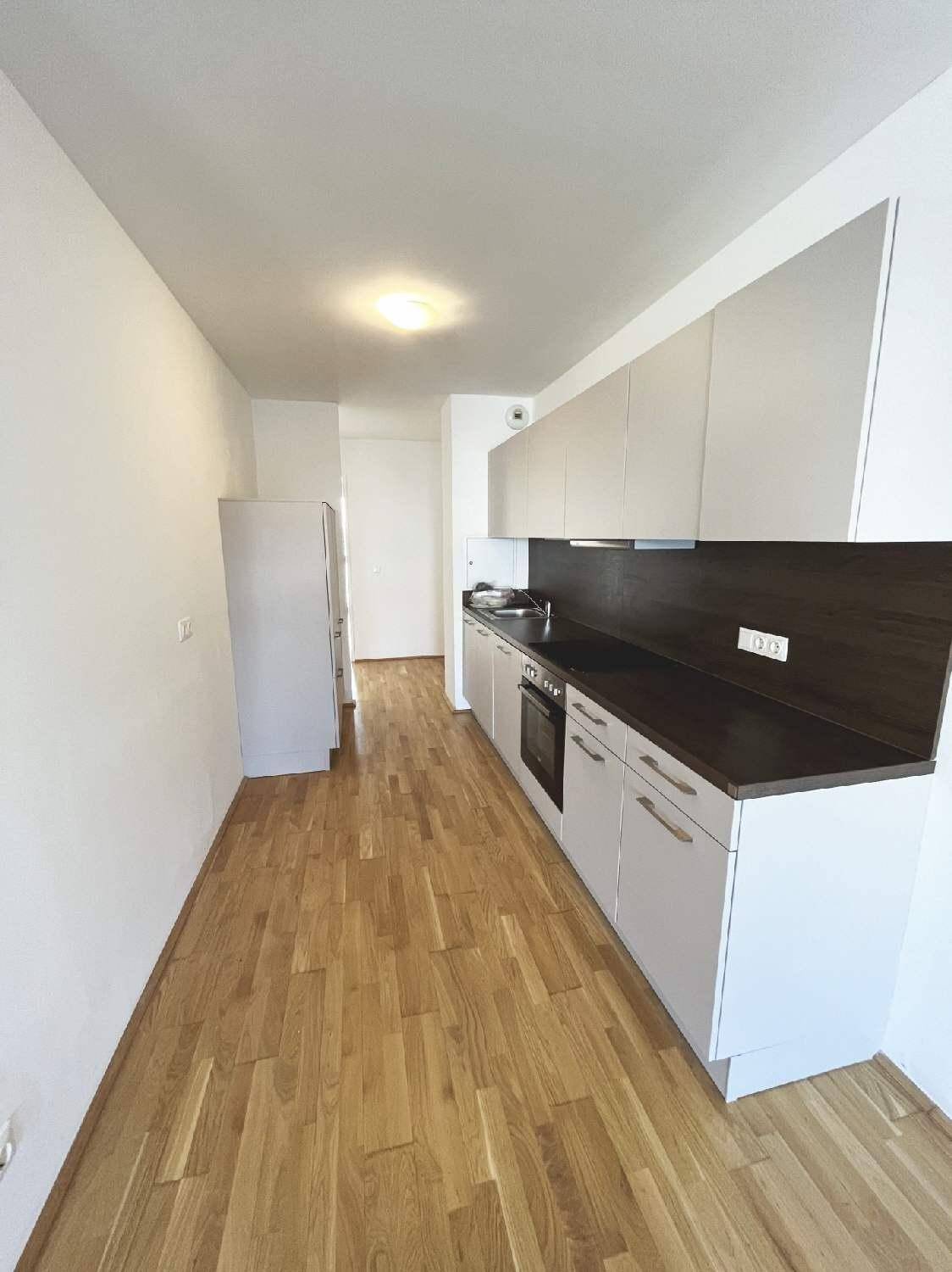 Moderne Einbauküche mit weißen Schränken, dunkler Arbeitsplatte und Parkettboden.