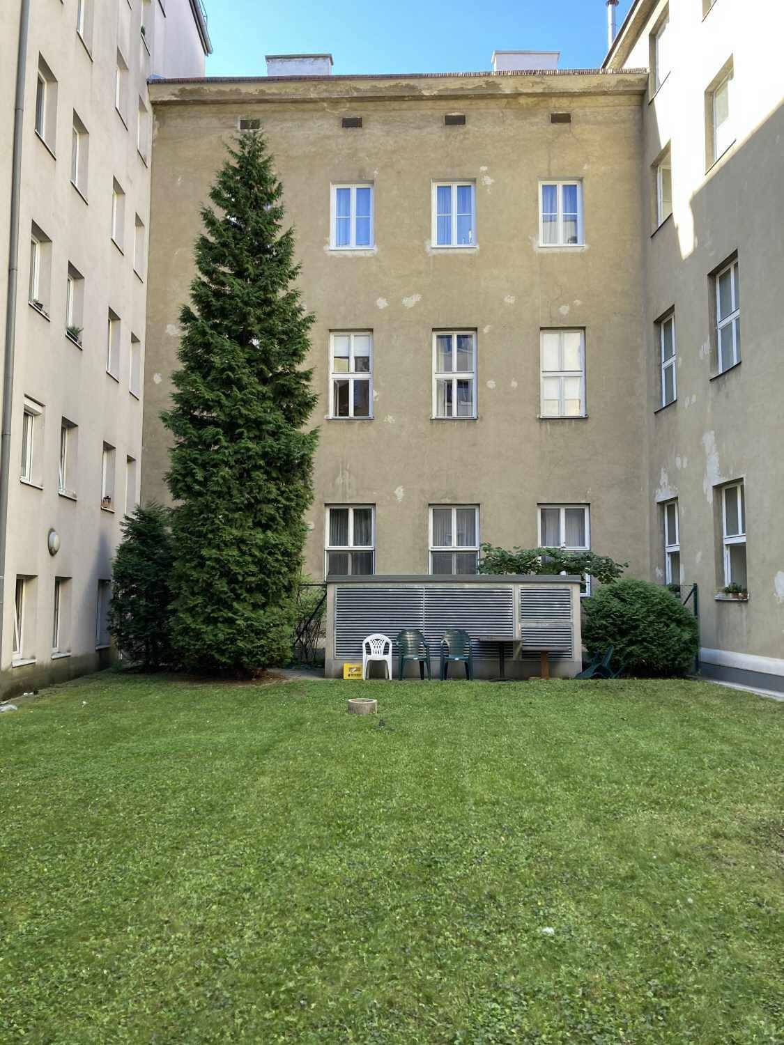 Grüner Innenhof mit Rasenfläche, großem Baum und Gebäudefassaden im Hintergrund.