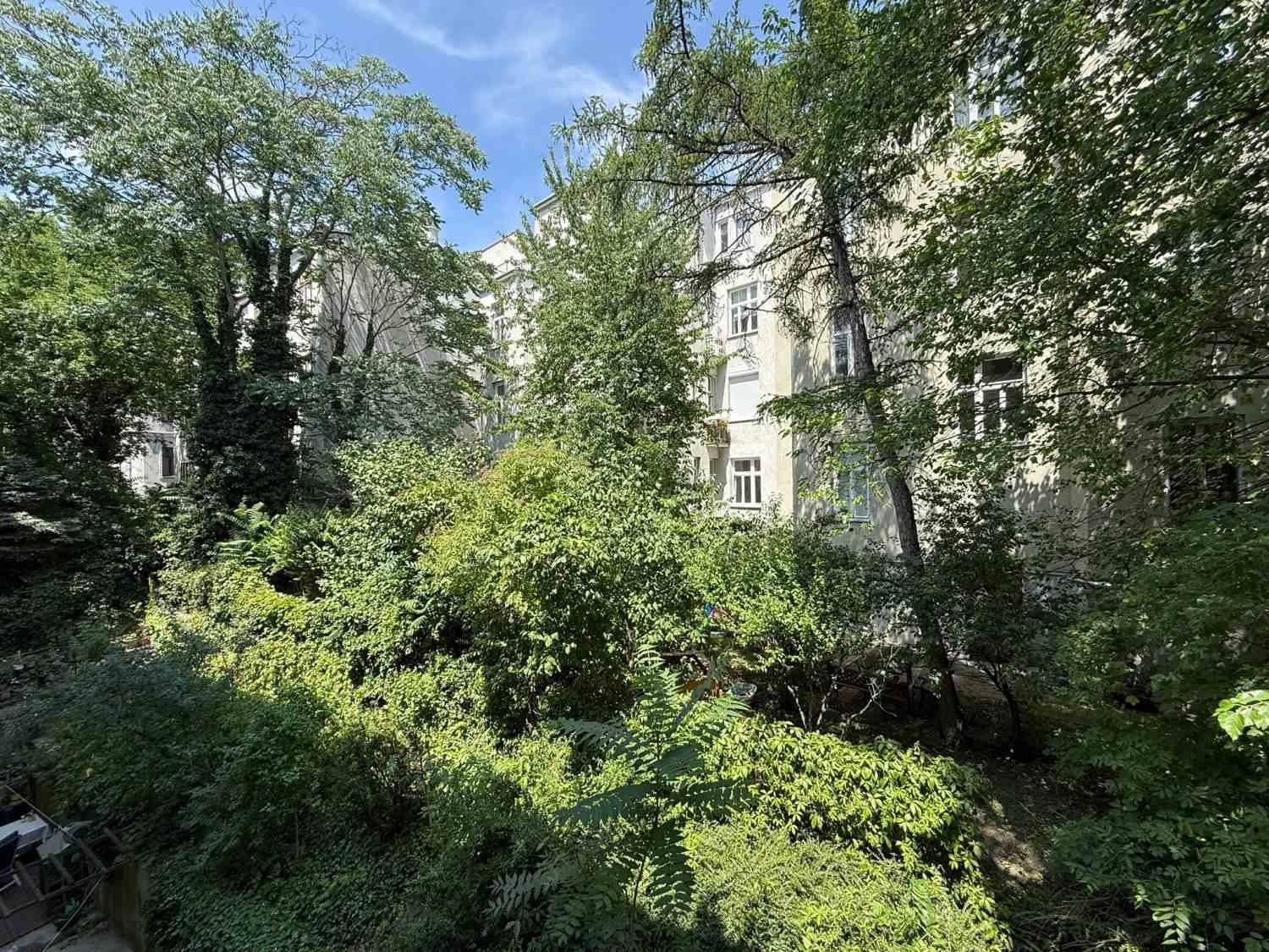 Üppiger grüner Ausblick auf Bäume und Sträucher, der eine ruhige Umgebung schafft.