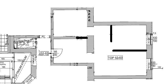 Grundriss einer Wohnung mit Luftraum-Atrium und Terrasse, inklusive Maßen.