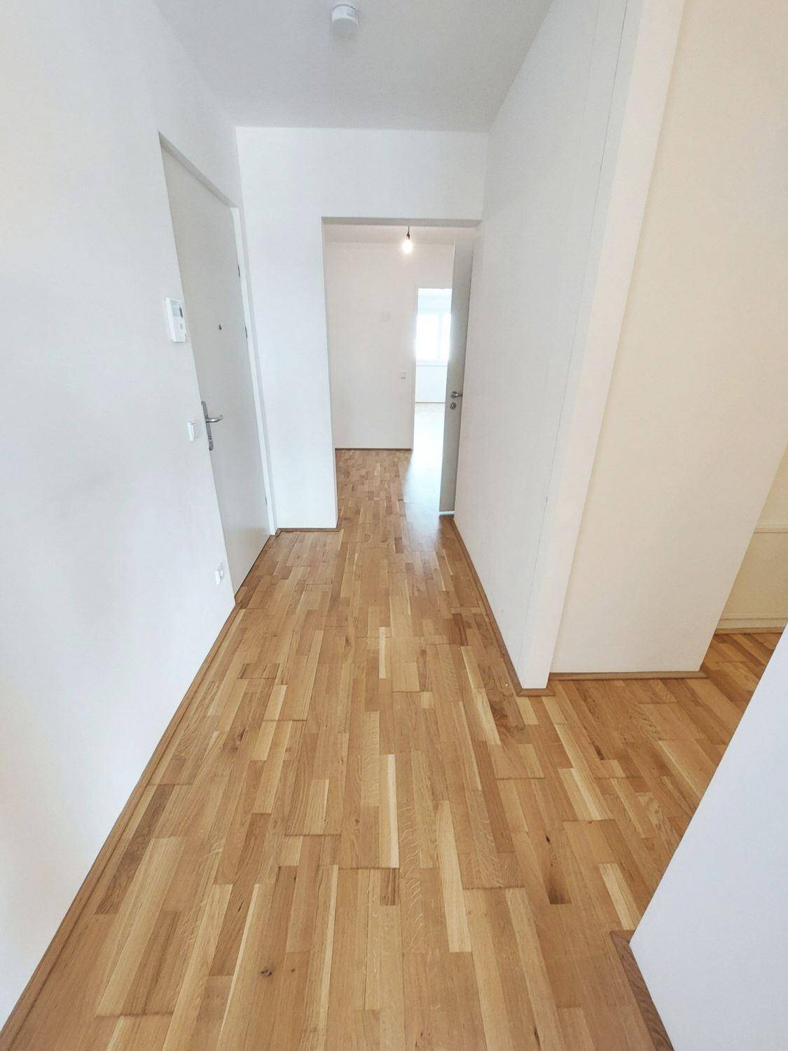 Heller Flur mit Parkettboden, der zu weiteren Räumen führt.