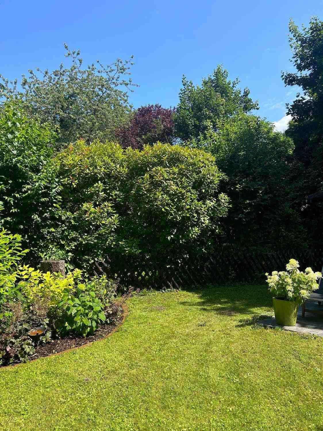 Großer, gepflegter Garten mit üppiger Vegetation, Rasenfläche und altem Baumbestand.