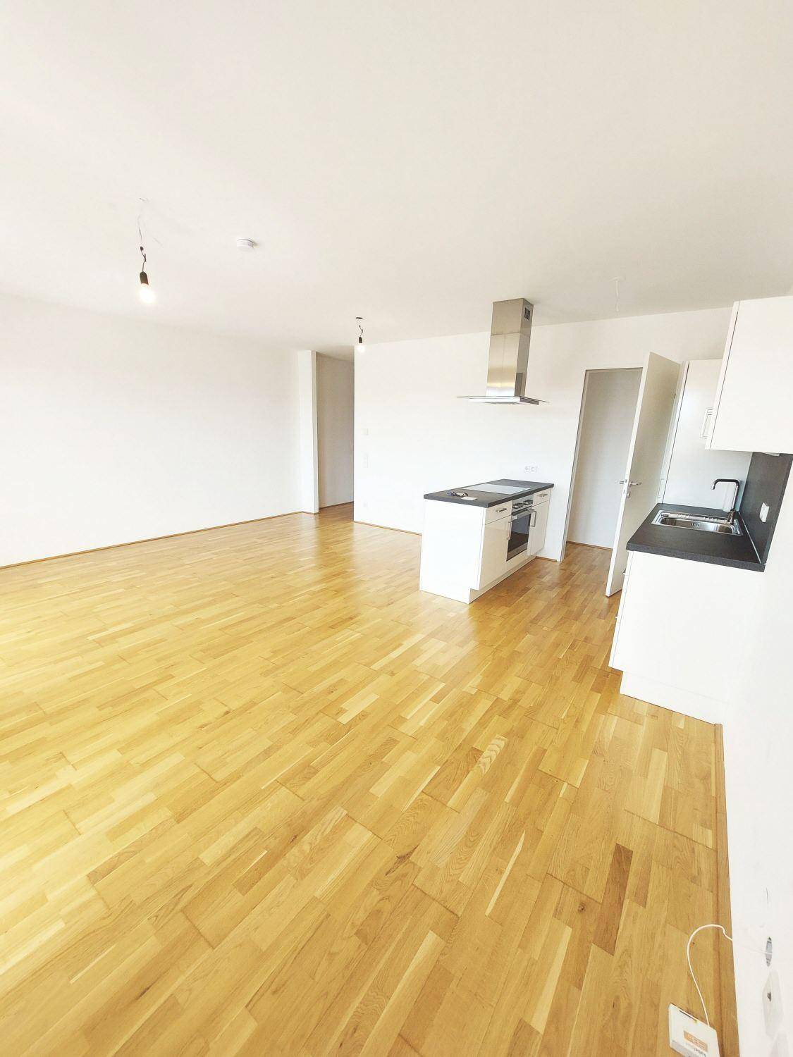 Offener Wohnbereich mit integrierter Küche, Parkettboden und viel Platz.