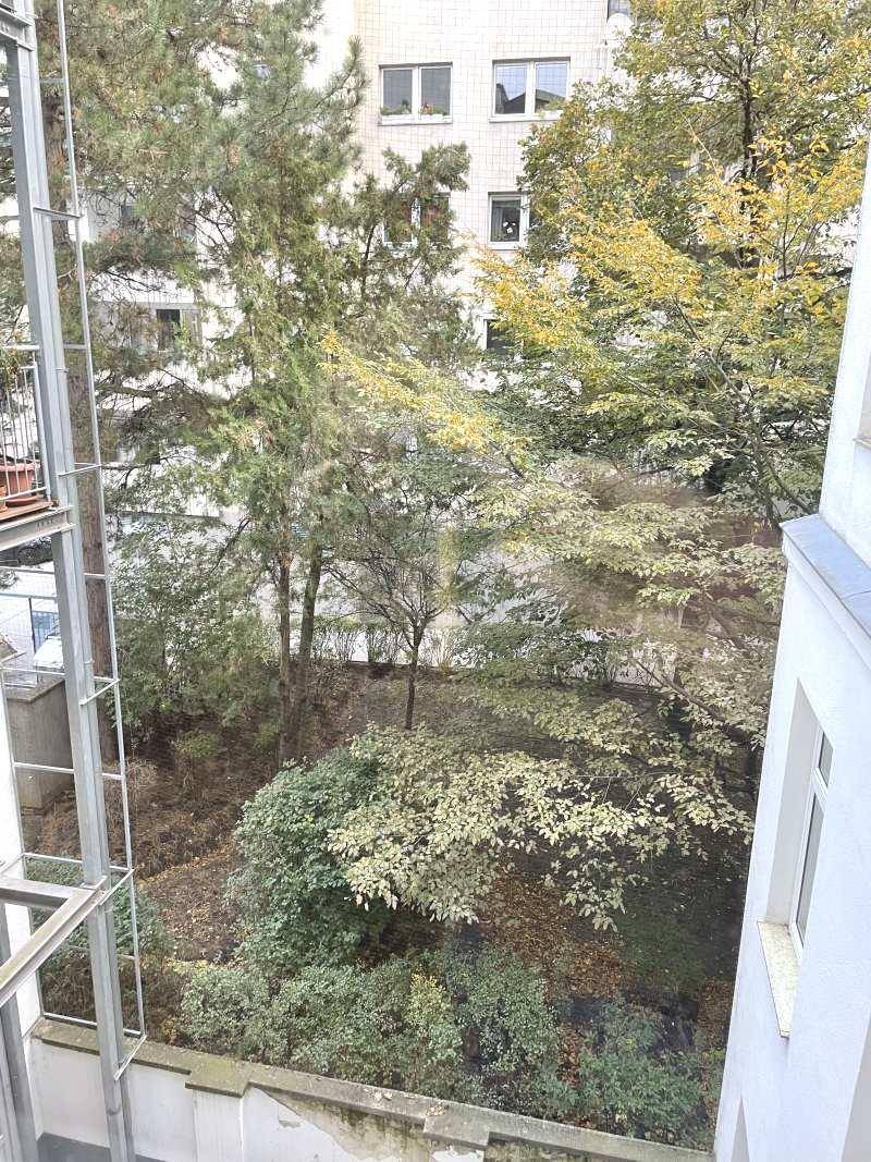 Blick aus dem Fenster auf einen begrünten Innenhof mit Bäumen und Sträuchern.