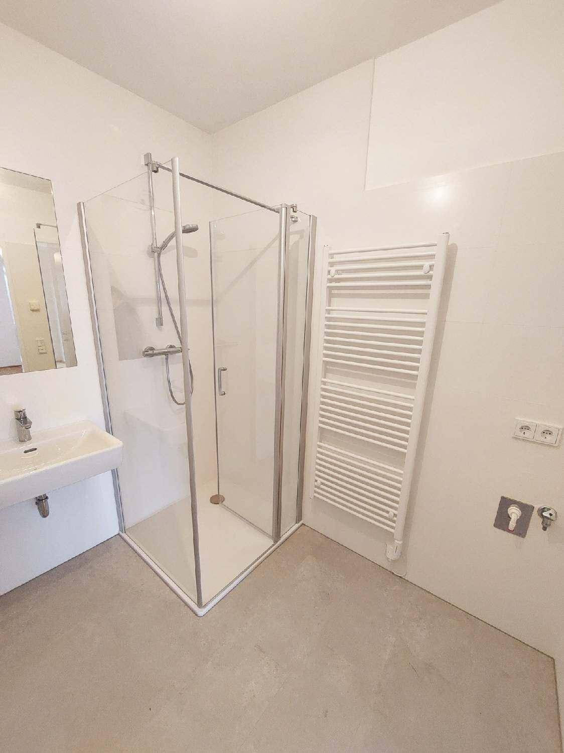 Modernes Badezimmer mit Duschkabine, Waschbecken und beheiztem Handtuchhalter.