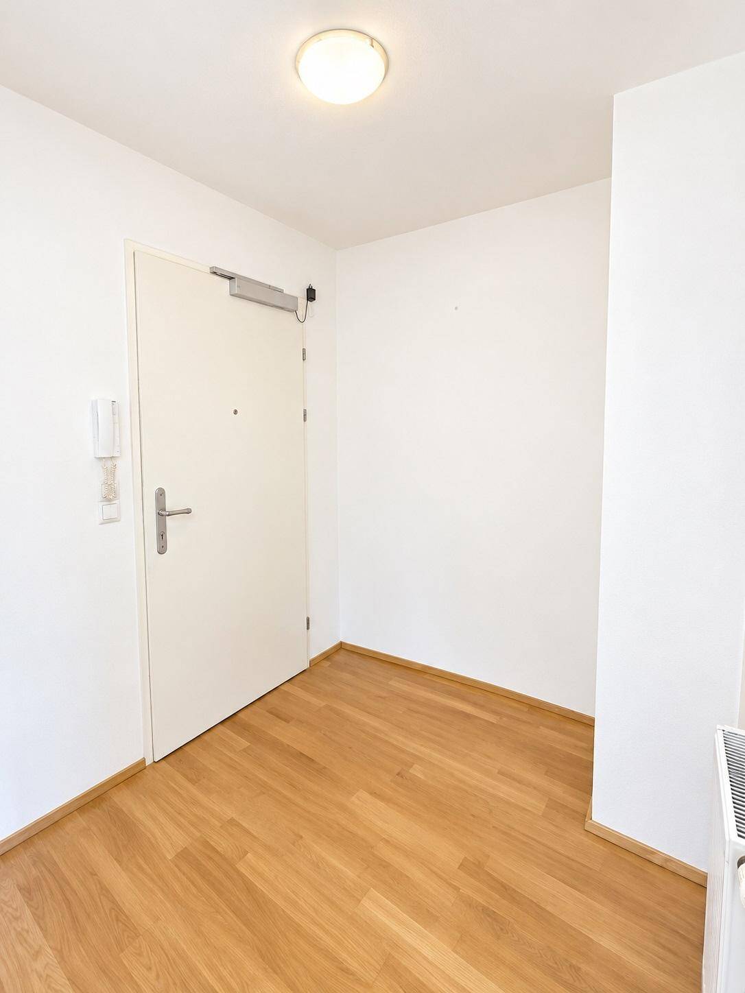 Eingangsbereich mit Holzboden, weißer Eingangstür und Gegensprechanlage.