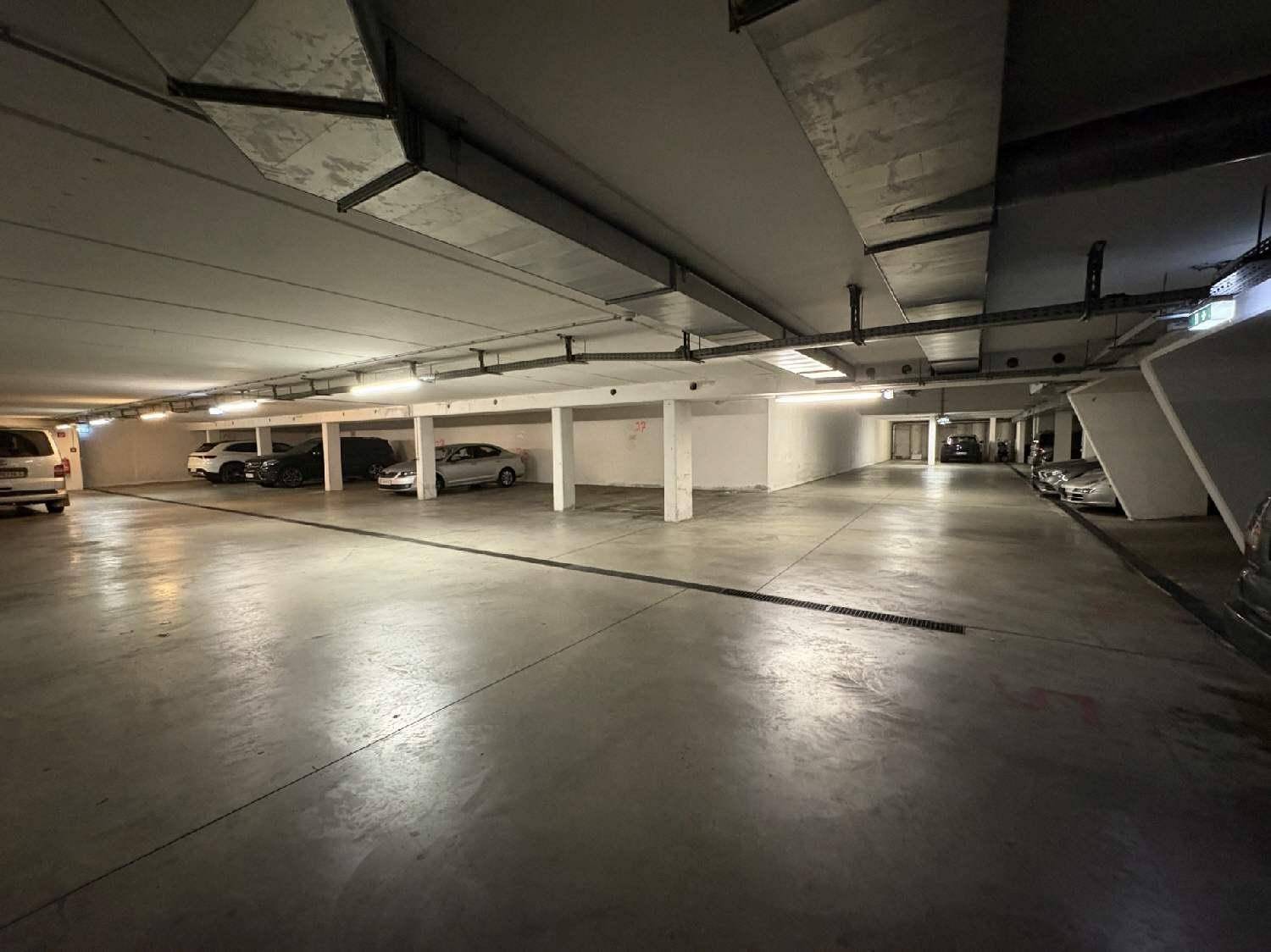 Geräumige Tiefgarage mit Betonboden und ausreichend Stellplätzen für mehrere Fahrzeuge.