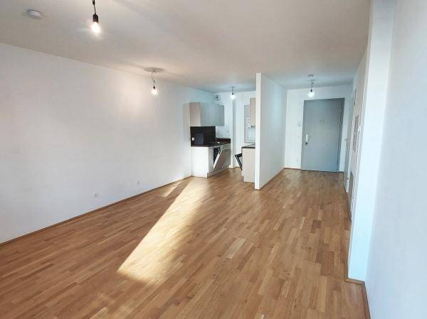 Heller Wohnbereich mit integrierter Küchenzeile und Eingangstür, bietet funktionales und modernes Wohnen.
