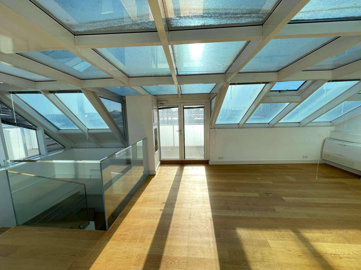 Heller Wohnbereich mit beeindruckendem Glasdach, vielen Dachfenstern und Holzfußboden.