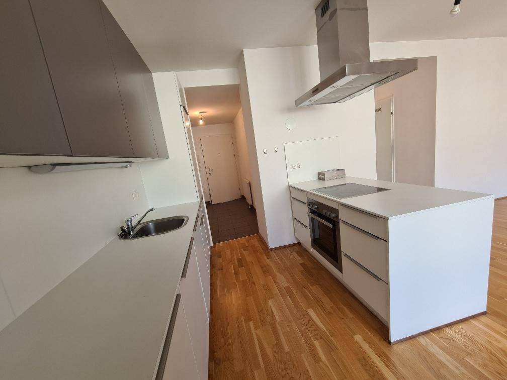 Moderne Küche mit Kochinsel, integriertem Backofen und Dunstabzugshaube, angrenzend an den Flur.