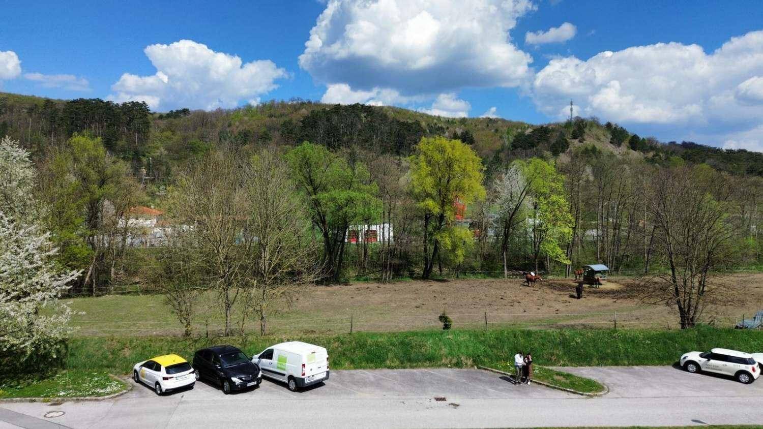Blick auf eine grüne Wiese mit Bäumen und einem bewaldeten Hügel im Hintergrund, davor parkende Autos.