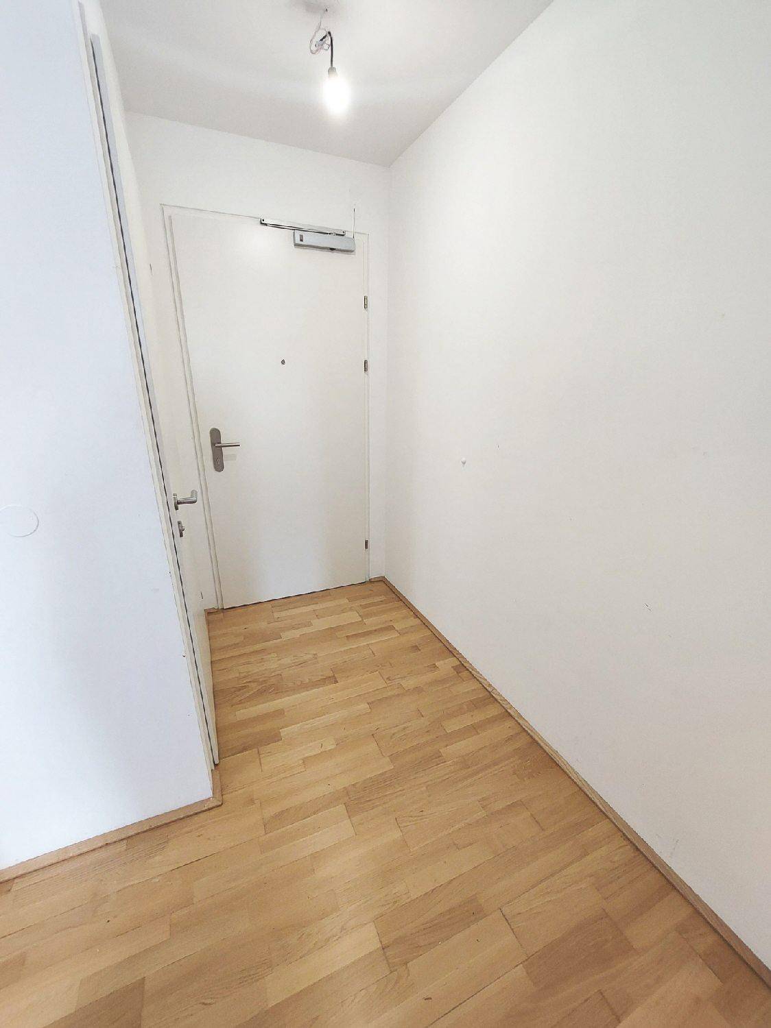 Heller Eingangsbereich mit Parkettboden und weißer Tür, die in die Wohnung führt.