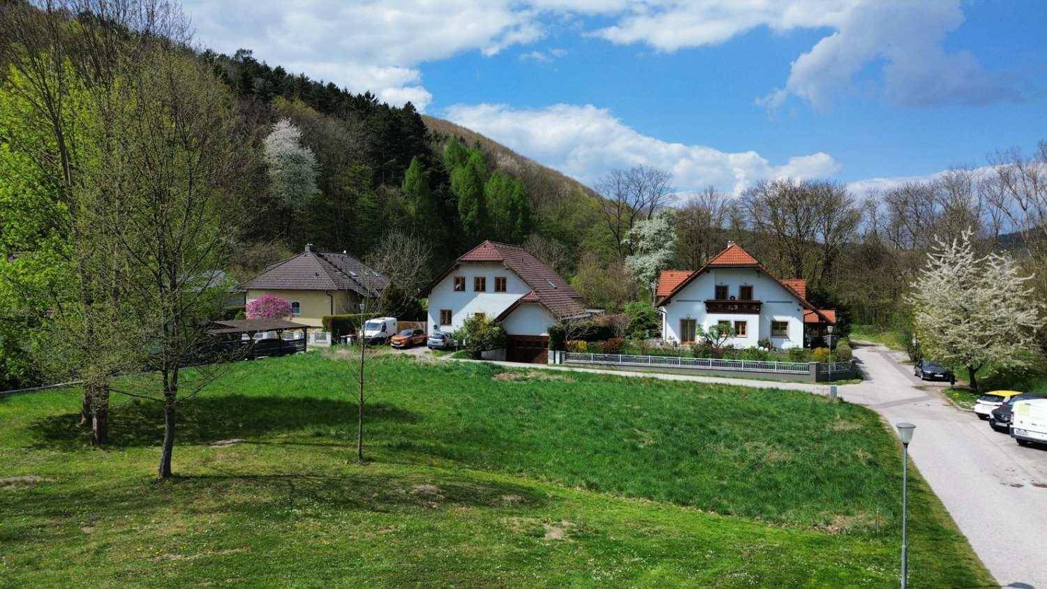 Großes grünes Grundstück mit mehreren Häusern, einer Straße und einem bewaldeten Hügel im Hintergrund.