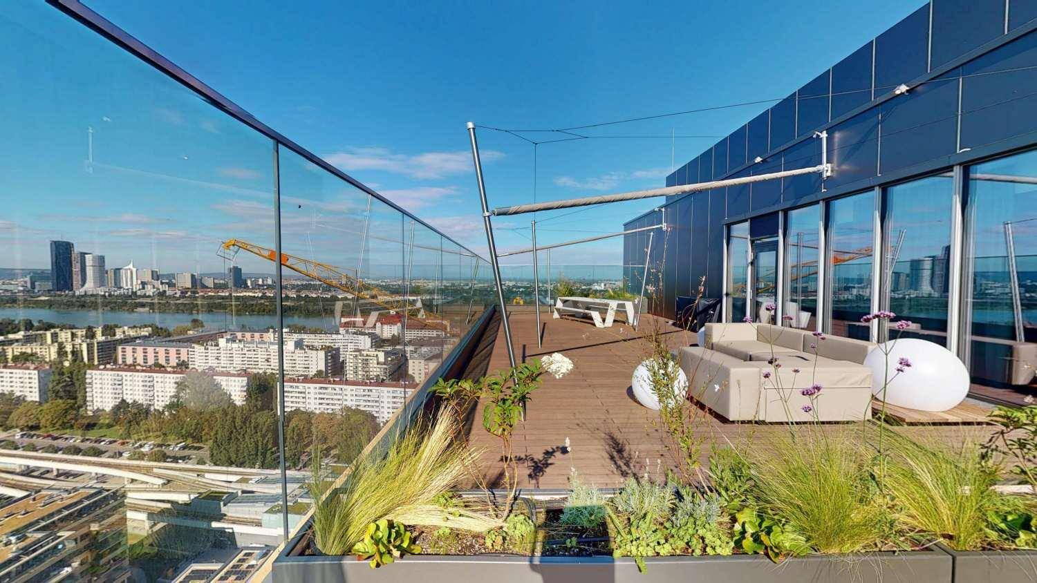 Rooftop I