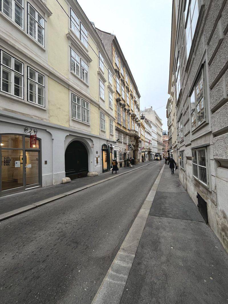 Historische Straße in der Stadt, gesäumt von charmanten Altbauten mit vielen Fenstern.
