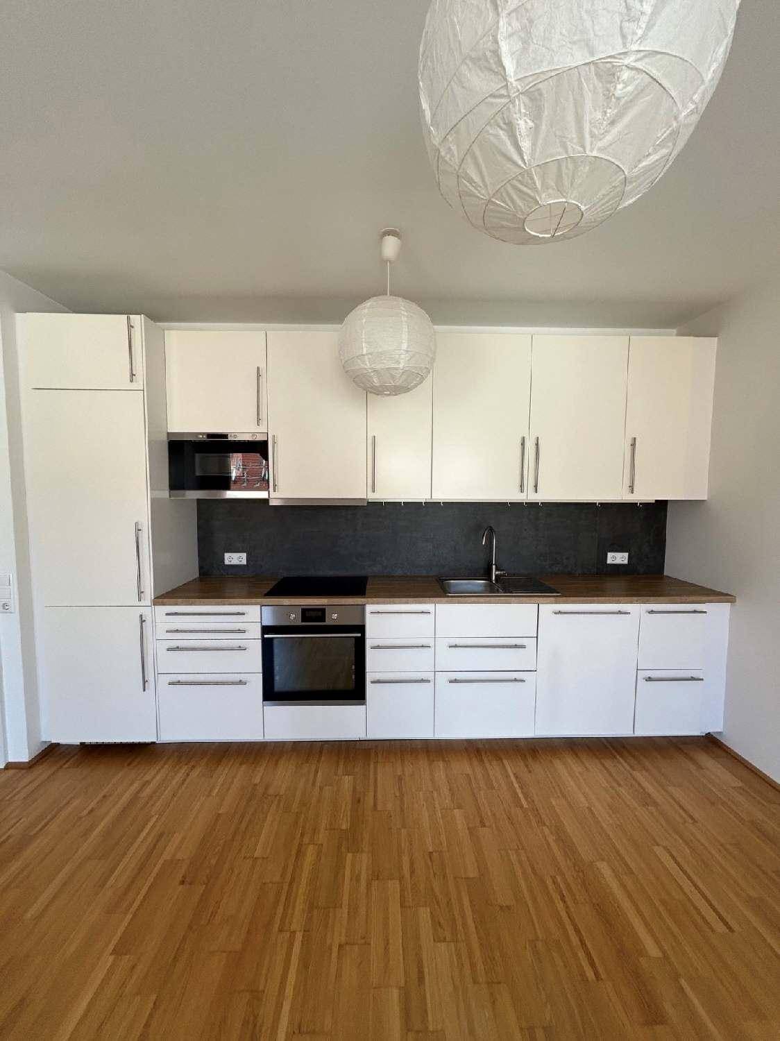Moderne Einbauküche mit weißen Schränken, Holz-Arbeitsplatte und integrierten Geräten.