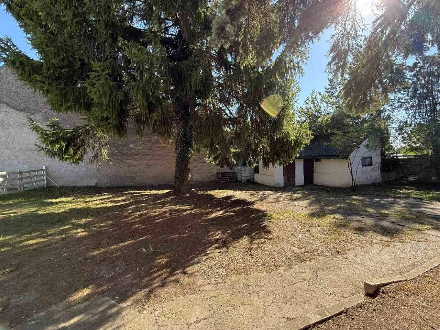 Großer Gartenbereich mit altem Baum und Nebengebäuden im hinteren Teil des Grundstücks.