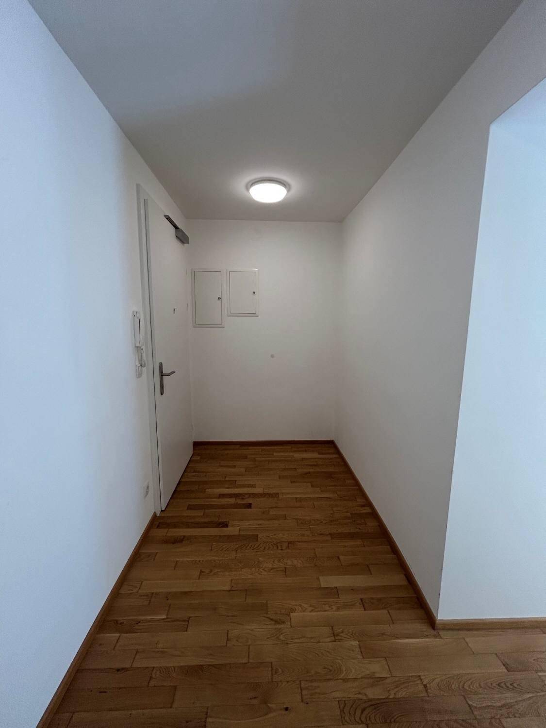 Eingangsbereich mit Holzboden, weiß gestrichenen Wänden und Gegensprechanlage.