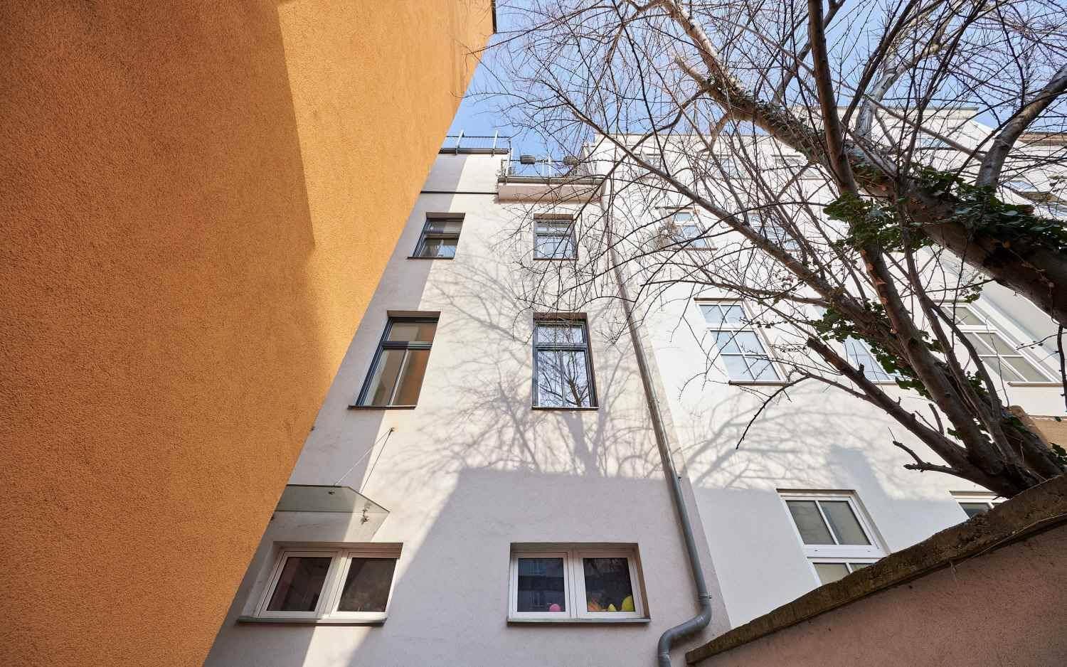 Blick auf die Rückseite des Gebäudes mit Fenstern und einem Baum im Innenhof.