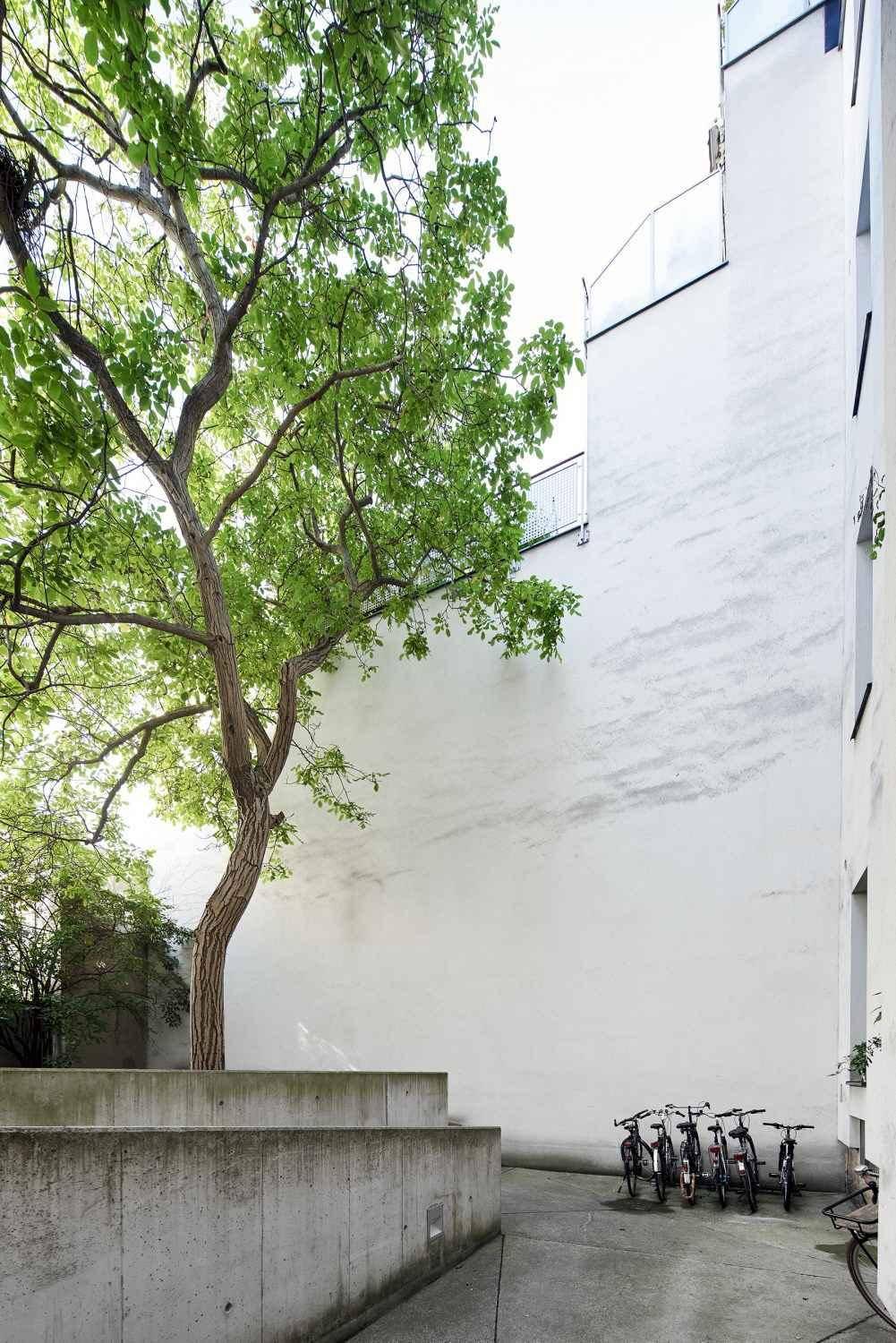Grüner Innenhof mit einem Baum und modernen Betonmauern als Abgrenzung.