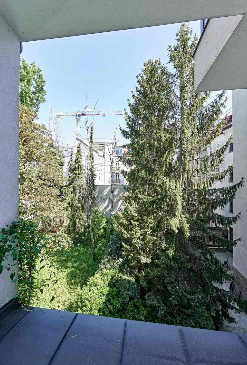 Freifläche