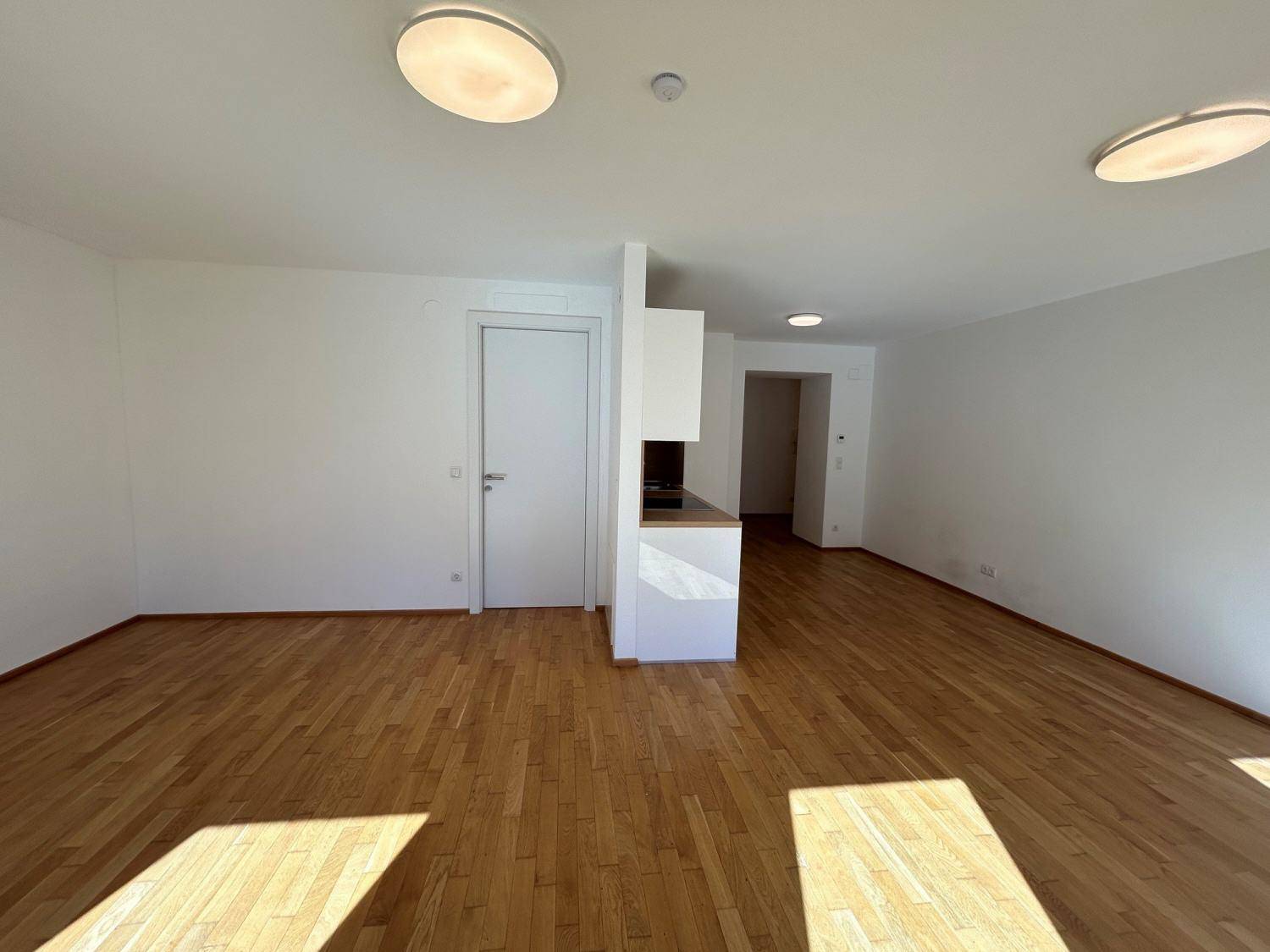 Weitläufiger Wohnbereich mit offener Küchenzeile, Holzboden und einer Tür zu einem angrenzenden Zimmer.